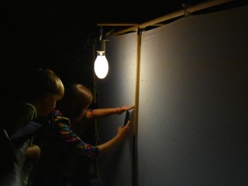 Świecenia nocne w Lesie Łagiewnickim 28.07.2023r., 